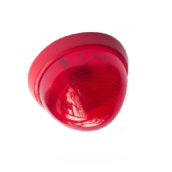 Ảnh sản phẩm 2