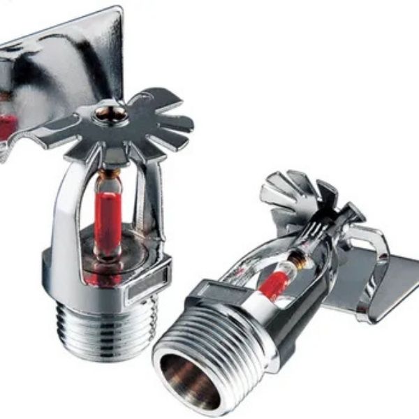 Ảnh sản phẩm 2