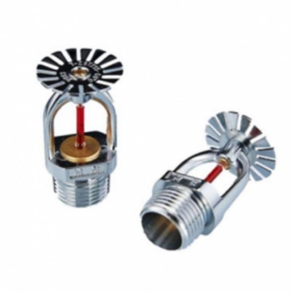 Ảnh sản phẩm 1